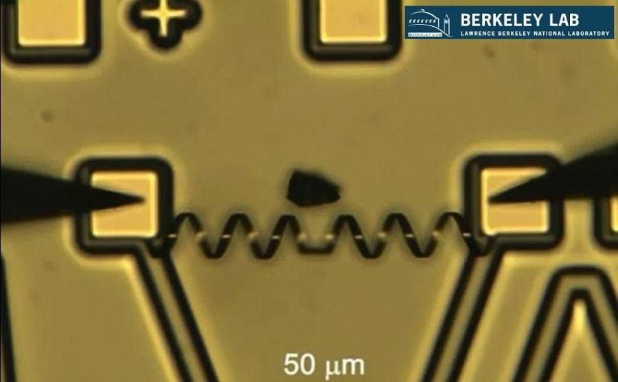 Κατασκεύασαν ρομποτικό μυ χίλιες φορές δυνατότερο από τον ανθρώπινο