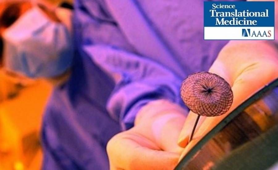 Πρωτοποριακή ιατρική κόλλα επιδιορθώνει την καρδιά