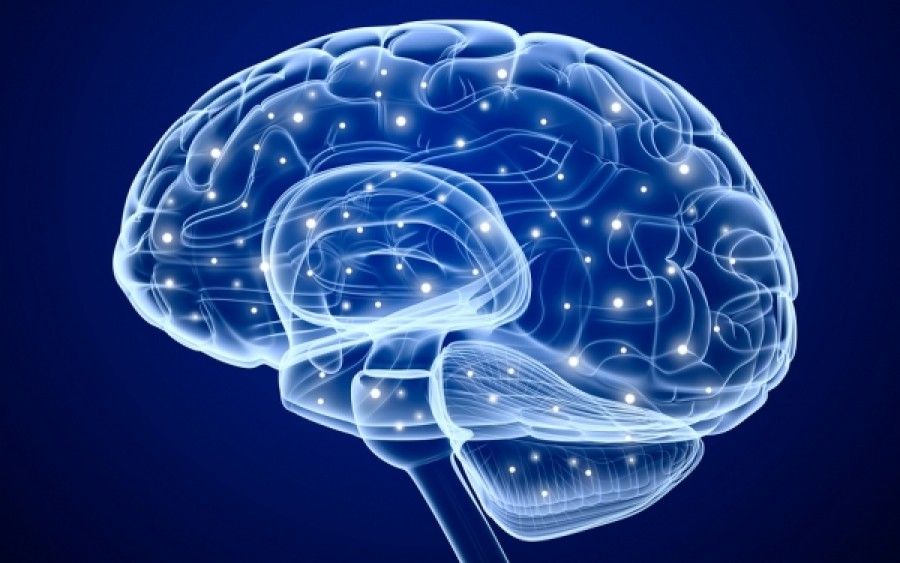 Όσο μεγαλώνει ο εγκέφαλος τόσο μειώνεται η μυϊκή δύναμη