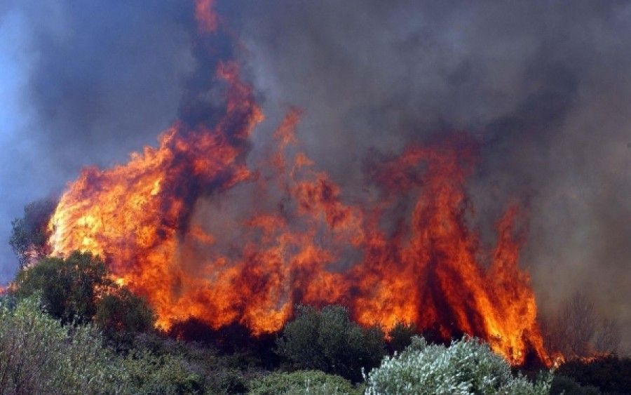 Δείτε πόσο επικίνδυνοι είναι οι ρύποι που εισπνέουμε από τις φωτιές στα δάση. Ποιοι κινδυνεύουν περισσότερο