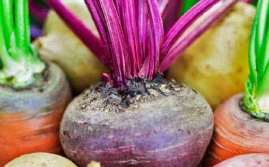 Οι ρίζες του χειμώνα και πώς να τις απολαύσεις