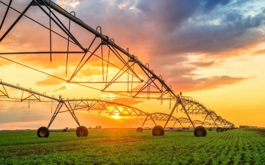 Science: Ασφαλή για κατανάλωση τα γενετικά τροποποιημένα τρόφιμα, αλλά θα πρέπει να ελέγχονται