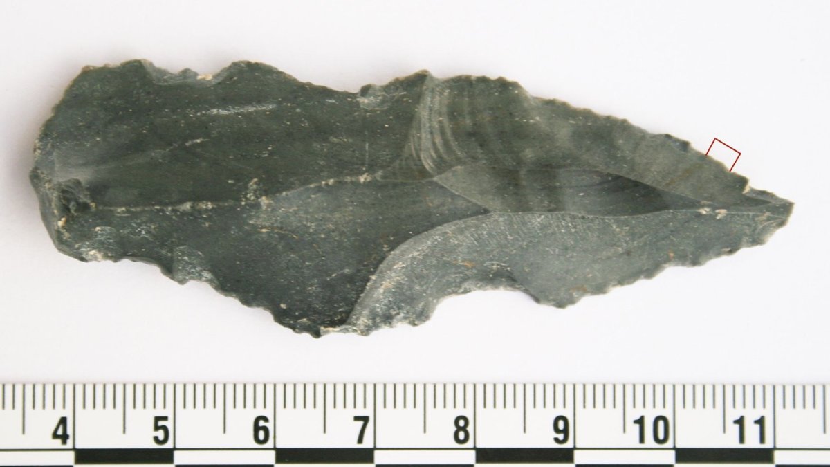 Ανακαλύφθηκαν τα αρχαιότερα ζωικά ίχνη στον κόσμο