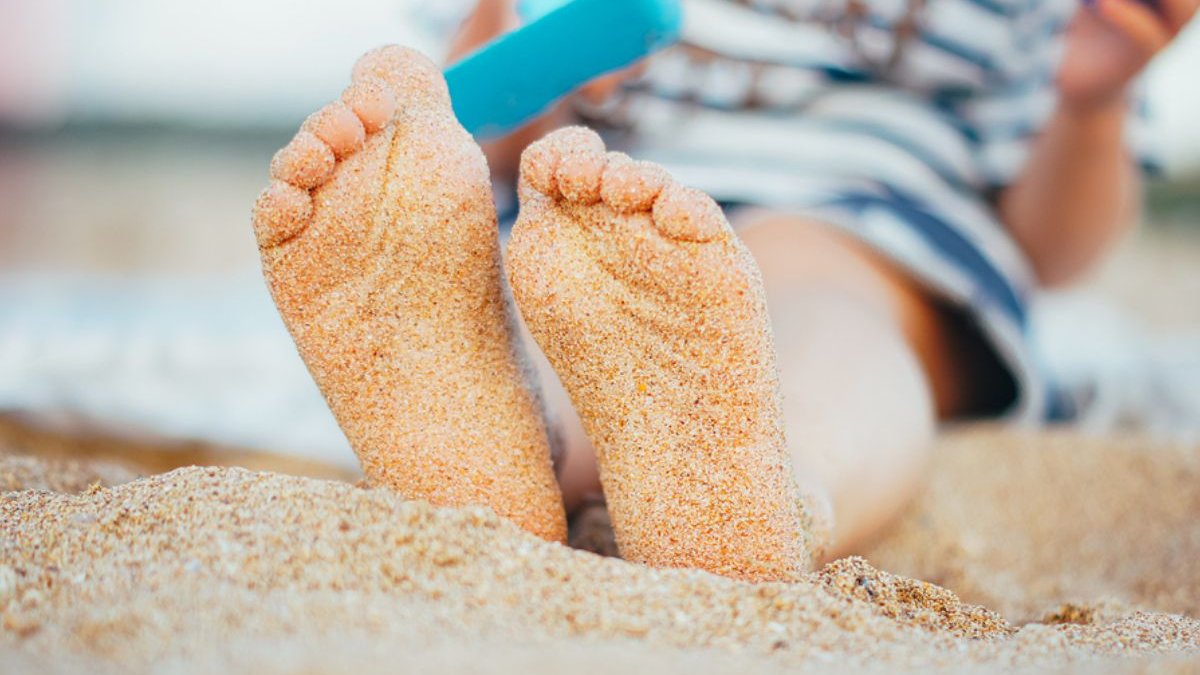 Όλα όσα πρέπει να γνωρίζετε για τις μυρμηγκιές