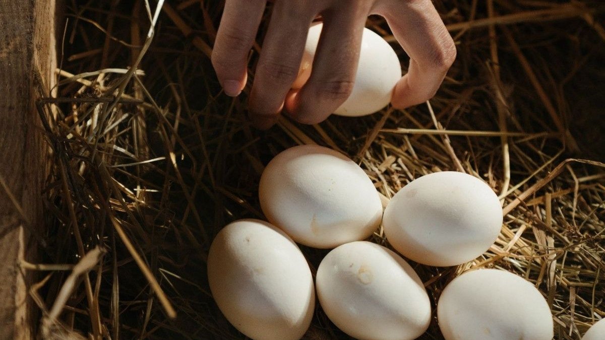 Μπορείς να αποθηκεύσεις τα αυγά στην κατάψυξη;