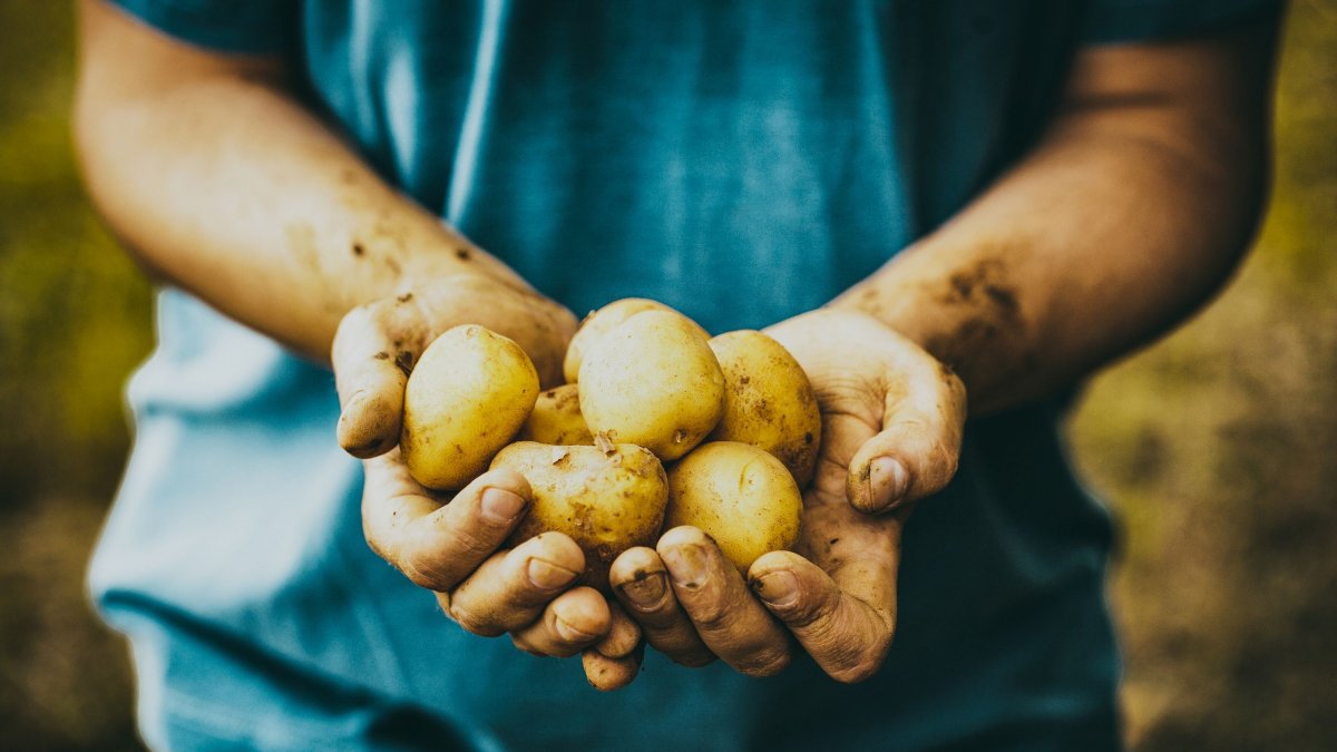 Η καλύτερη άμυνά σας κατά του μολύβδου στα τρόφιμα, σύμφωνα με τοξικολόγο