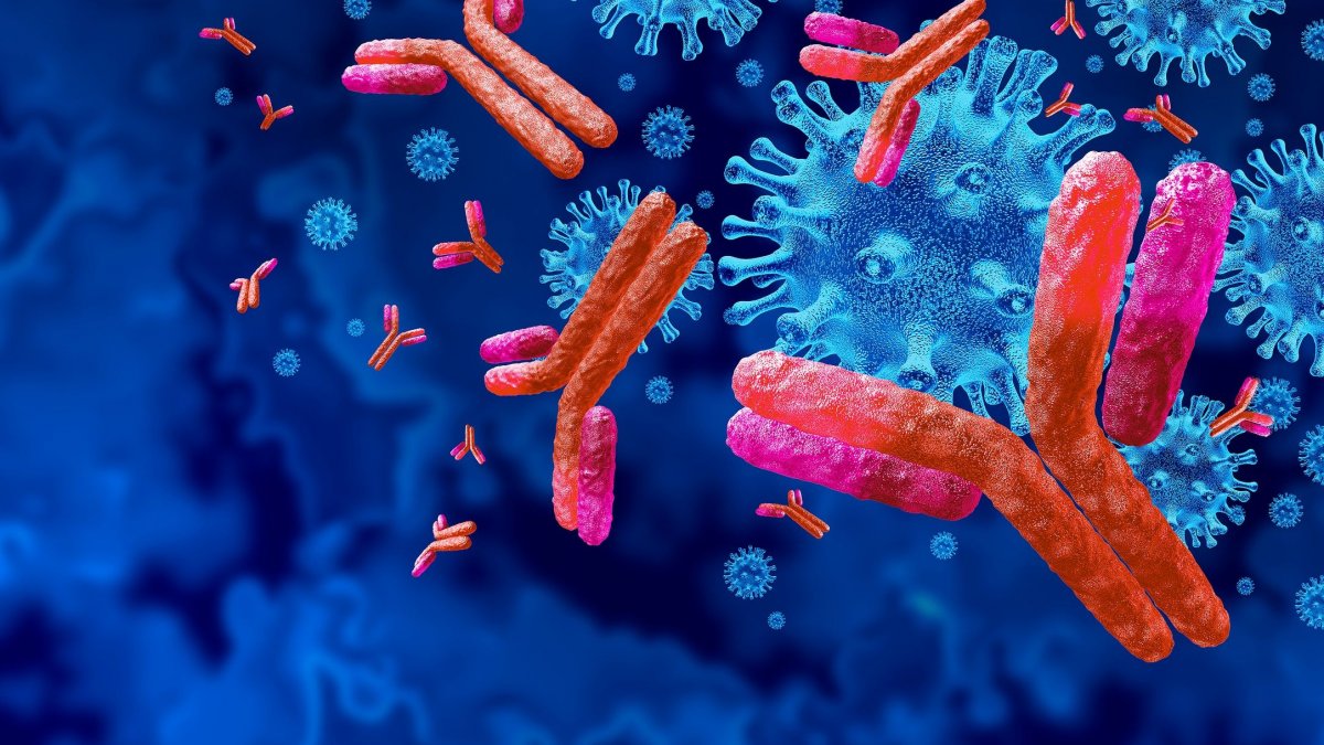 Γιατί τα εμβόλια «δουλεύουν» λιγότερο στους μεγαλύτερους-Πού οφείλονται οι αλλαγές στο ανοσοποιητικό