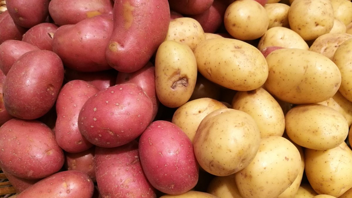 Πατάτες ή γλυκοπατάτες; Ποιες είναι καλύτερες για απώλεια βάρους, βιταμίνη Α και έντερο