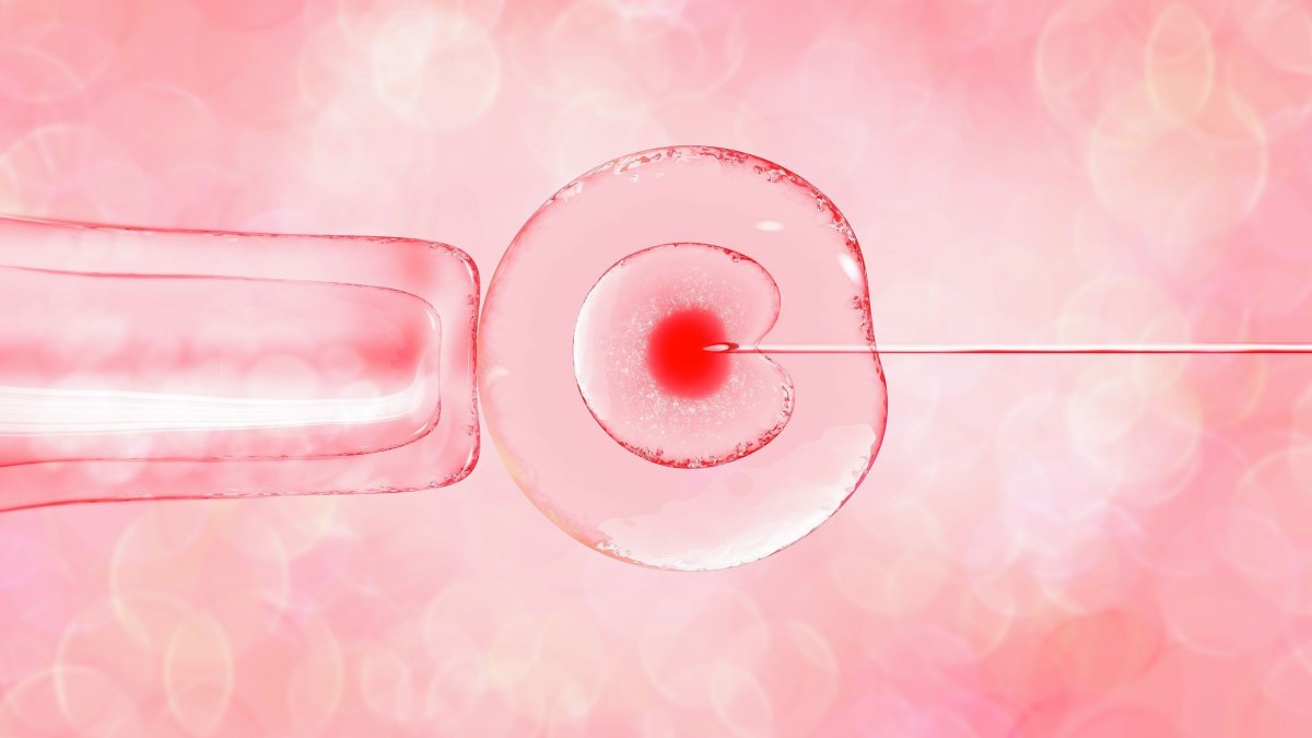 Γενετικός έλεγχος εμβρύων: Νέες δυνατότητες και ηθικά διλήμματα