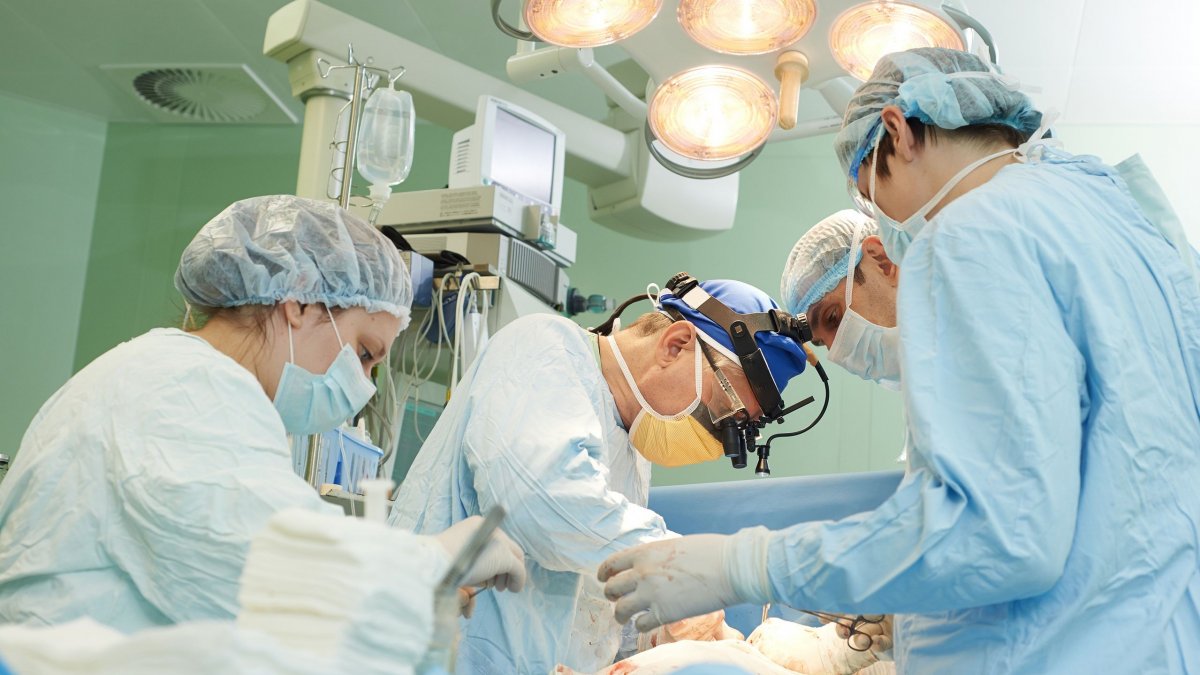 Αντέστρεψαν για πρώτη φορά στην ιστορία την απόρριψη μοσχευμάτων οργάνων από χοίρο σε άνθρωπο