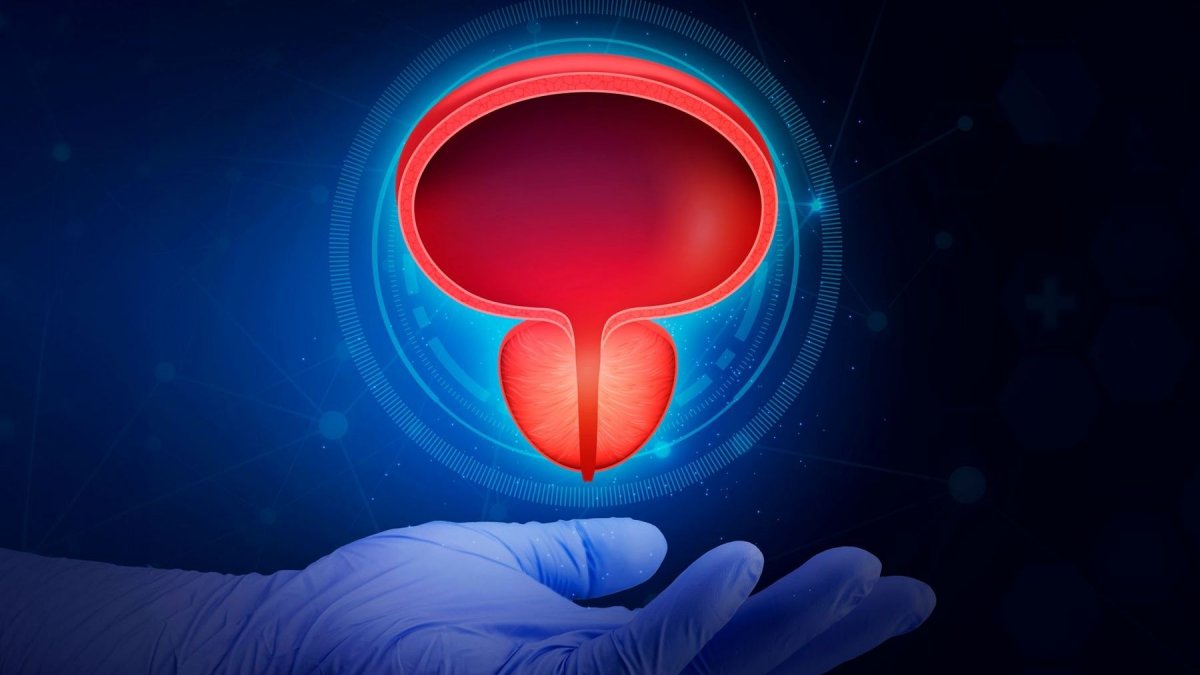 Προστάτης: Όσα πρέπει να γνωρίζουν οι άνδρες για τις παθήσεις του και την έγκαιρη διάγνωση