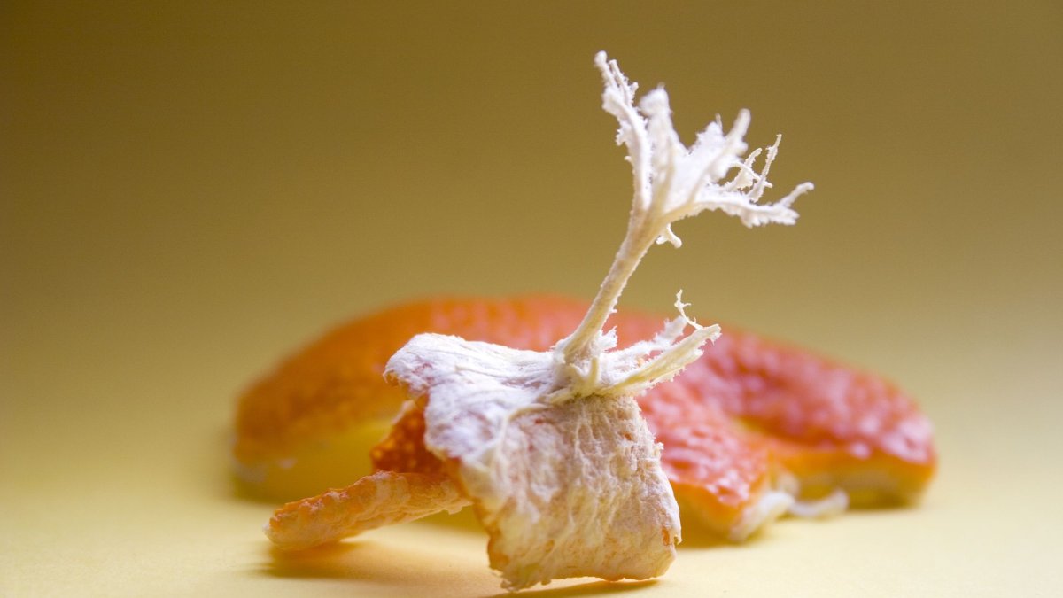 Γιατί να μην πετάτε τις λευκές σπογγώδεις ίνες όταν καθαρίζετε πορτοκάλι – Τι προσφέρουν