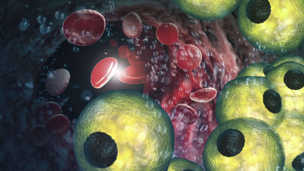 Αυτός ο ελάχιστα γνωστός τύπος λίπους μπορεί να προστατεύει την καρδιά σας