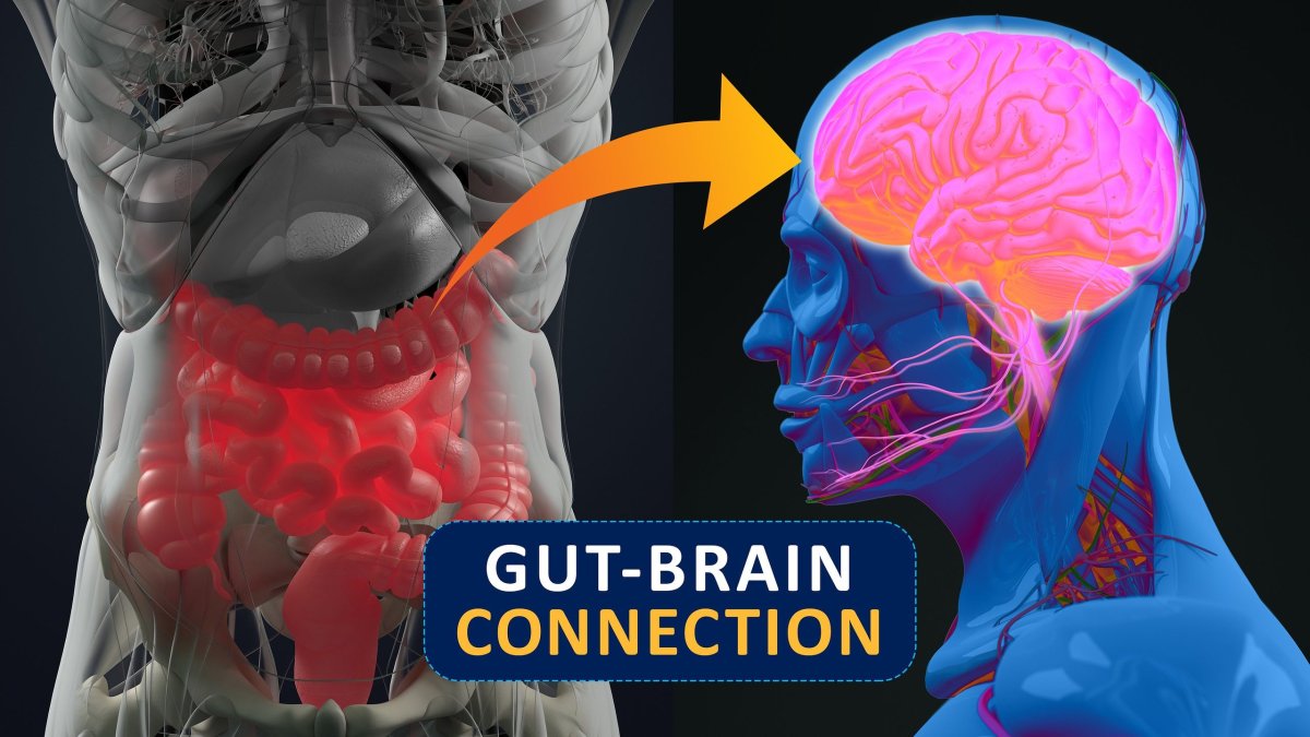 Στην οδό εντέρου-εγκεφάλου αναζητούν την πηγή του Πάρκινσον - Τι έδειξε έρευνα