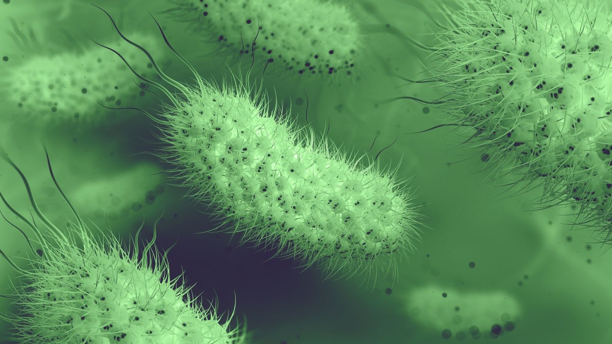 Τα βακτήρια E. Coli γίνονται βέλη στη φαρέτρα της Επιστήμης κατά καρκίνου, HIV και διαβήτη