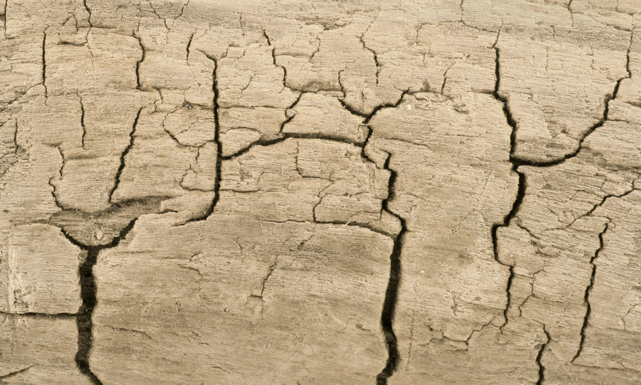 Είναι έκζεμα ή ψωρίαση; Πώς θα τα ξεχωρίσετε από τα συμπτώματα
