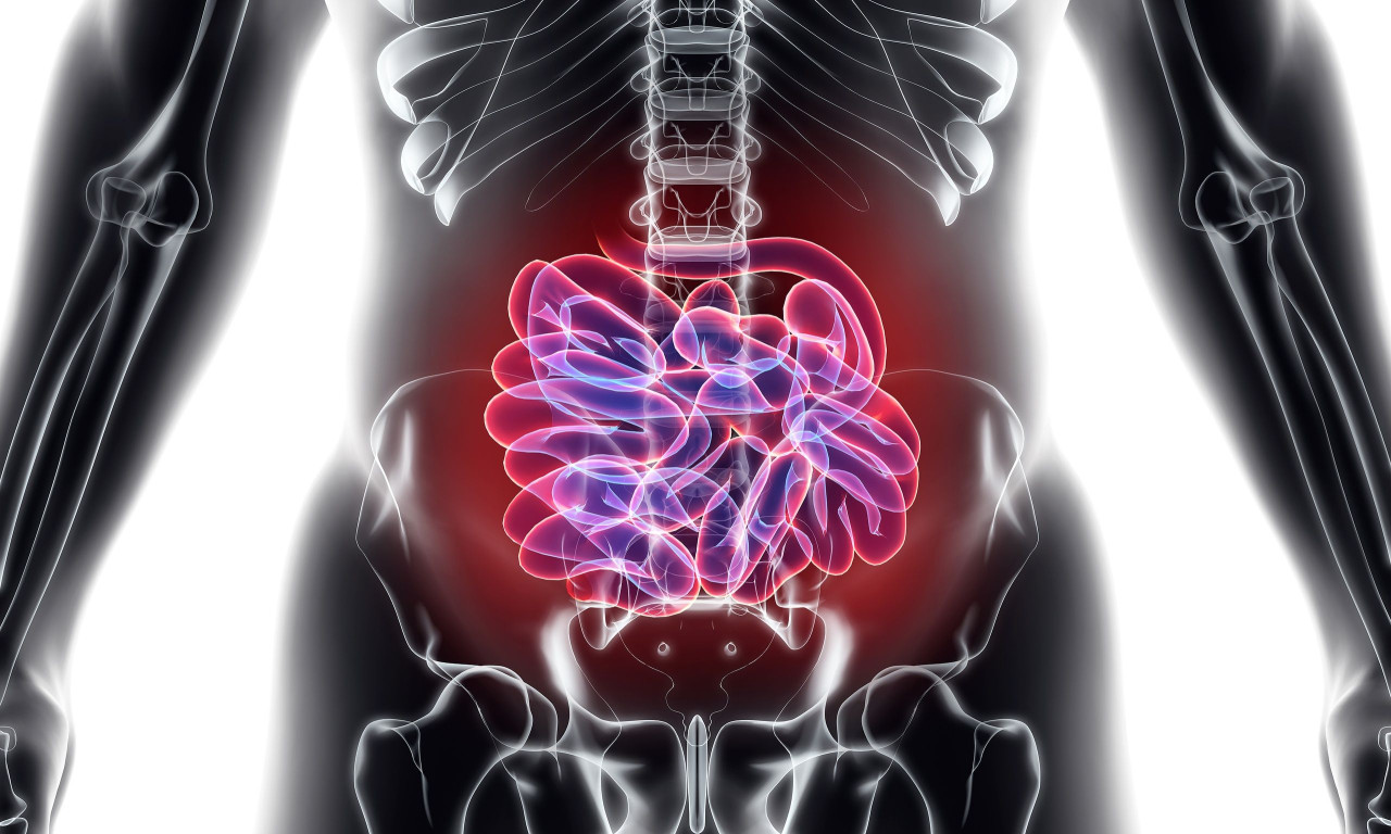&Tau;&omicron; &lambda;&epsilon;&pi;&tau;ό έ&nu;&tau;&epsilon;&rho;&omicron; έ&chi;&epsilon;&iota; 6 &mu;έ&tau;&rho;&alpha; &mu;ή&kappa;&omicron;&sigmaf; &ndash; &Pi;&omicron;&iota;&alpha; &eta; &lambda;&epsilon;&iota;&tau;&omicron;&upsilon;&rho;&gamma;ί&alpha; &tau;&omicron;&upsilon; &kappa;&alpha;&iota; &mu;&epsilon; &pi;&omicron;&iota;&epsilon;&sigmaf; &alpha;&sigma;&theta;έ&nu;&epsilon;&iota;&epsilon;&sigmaf; &sigma;&upsilon;&nu;&delta;έ&epsilon;&tau;&alpha;&iota;
