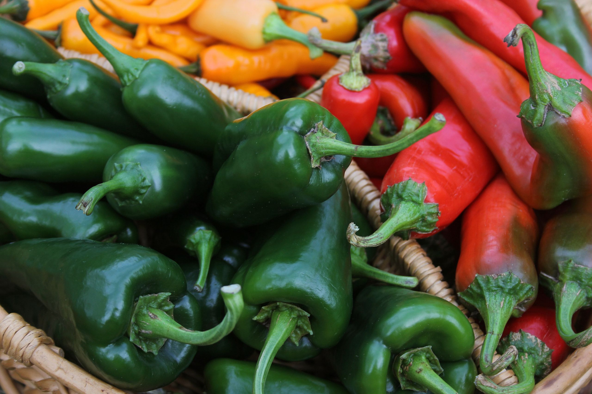 Poblano Peppers With Red Peppers And Yellow Peppers
