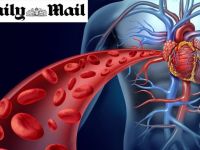 Αυτό είναι το ψάρι που προστατεύει την καρδιά μας