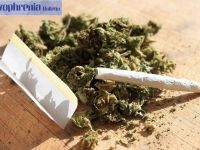 Πώς η χρήση μαριχουάνας συνδέεται με τη σχιζοφρένεια