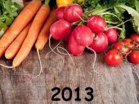 Οι πιο δημοφιλείς δίαιτες του 2013