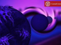 Τα νανο-σωματίδια διακόπτουν την εξάπλωση του καρκίνου