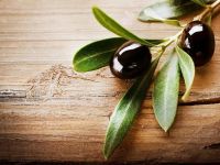 Τα πολύτιμα αλλά ανεξερεύνητα ακόμα φύλλα ελιάς