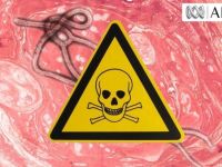 Έμπολα: Πώς μεταδίδεται και πόσο μεταδοτικός είναι (γράφημα)