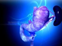 Παγκόσμια Ημέρα για τον Καρκίνο του Παγκρέατος: Alert για έναν από τους πιο θανατηφόρους καρκίνους