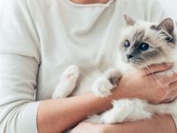 Τι δείχνει το κατοικίδιό σας για την προσωπικότητά σας