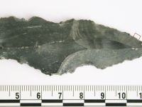 Ανακαλύφθηκαν τα αρχαιότερα ζωικά ίχνη στον κόσμο