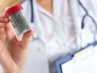 Χρήσιμη η ιατρική κάνναβη στη χημειοθεραπεία, στους χρόνιους πόνους και στην πολλαπλή σκλήρυνση