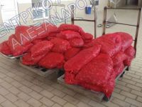 Κατασχέθηκαν σχεδόν 700 κιλά όστρακα ακατάλληλα για κατανάλωση