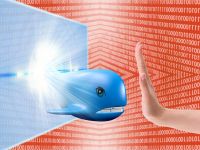 ΚΛΙΜΑΚΑ: Το Blue Whale Challenge δεν είναι παιχνίδι