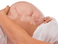 Ανάπτυξη εμβρύου: Πότε αρχίζουν να σχηματίζονται τα χαρακτηριστικά του προσώπου του;
