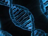 Eρευνητές βρίσκουν πιθανές νέες θεραπείες για σπάνιες νευρολογικές διαταραχές