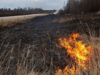 Φωτιά: Οδηγίες για την προστασία της δημόσιας υγείας μετά την πυρκαγιά - Νερό, τρόφιμα, αμίαντος