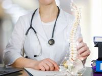 Νέα ανακάλυψη για την ενδυνάμωση των οστών θα μπορούσε να αντιστρέψει την οστεοπόρωση