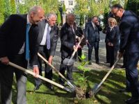 Ο Πλάτανος του Ιπποκράτη στην Ιατρική Σχολή της Μολδαβίας