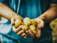 Η καλύτερη άμυνά σας κατά του μολύβδου στα τρόφιμα, σύμφωνα με τοξικολόγο