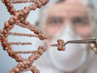 Με επέμβαση άπαξ σε ένα γονίδιο ίσως εξαφανίζουμε δια βίου την LDL χοληστερόλη