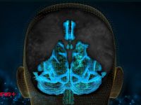 Γεννήθηκε χωρίς ημισφαίρια εγκεφάλου αλλά μόλις έκλεισε τα 20 – Τι είναι η υδρανεγκεφαλία [vid]