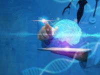 “Διακόπτης” μετατρέπει τις άμυνες του εγκεφάλου σε προστατευτικά μέσα κατά του Αλτσχάιμερ