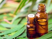 Έλαιο ευκαλύπτου: Απίστευτη πολυχρηστικότητα – Δείτε πόσα μπορείτε να κάνετε