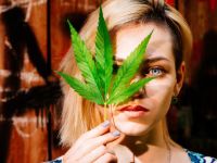 Ενώσεις κάνναβης καταπολεμούν έναν από τους πιο θανατηφόρους καρκίνους - Έρευνα