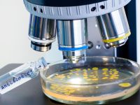 Eθνική προτεραιότητα ο έλεγχος των ανθεκτικών λοιμώξεων – Ποιοι παίρνουν τα περισσότερα αντιβιοτικά