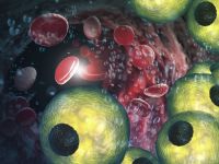 Αυτός ο ελάχιστα γνωστός τύπος λίπους μπορεί να προστατεύει την καρδιά σας