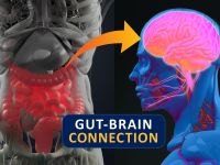 Στην οδό εντέρου-εγκεφάλου αναζητούν την πηγή του Πάρκινσον - Τι έδειξε έρευνα