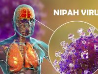 Καθησυχαστικός ο Π.Ο.Υ. για τον ιό Νίπα