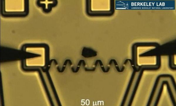 Κατασκεύασαν ρομποτικό μυ χίλιες φορές δυνατότερο από τον ανθρώπινο